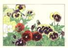 29 photo29_small.jpg